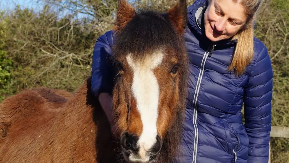 A pony named Aero is cuddled by Redwings Equine Behaviour Manager Sarah Hallsworth.