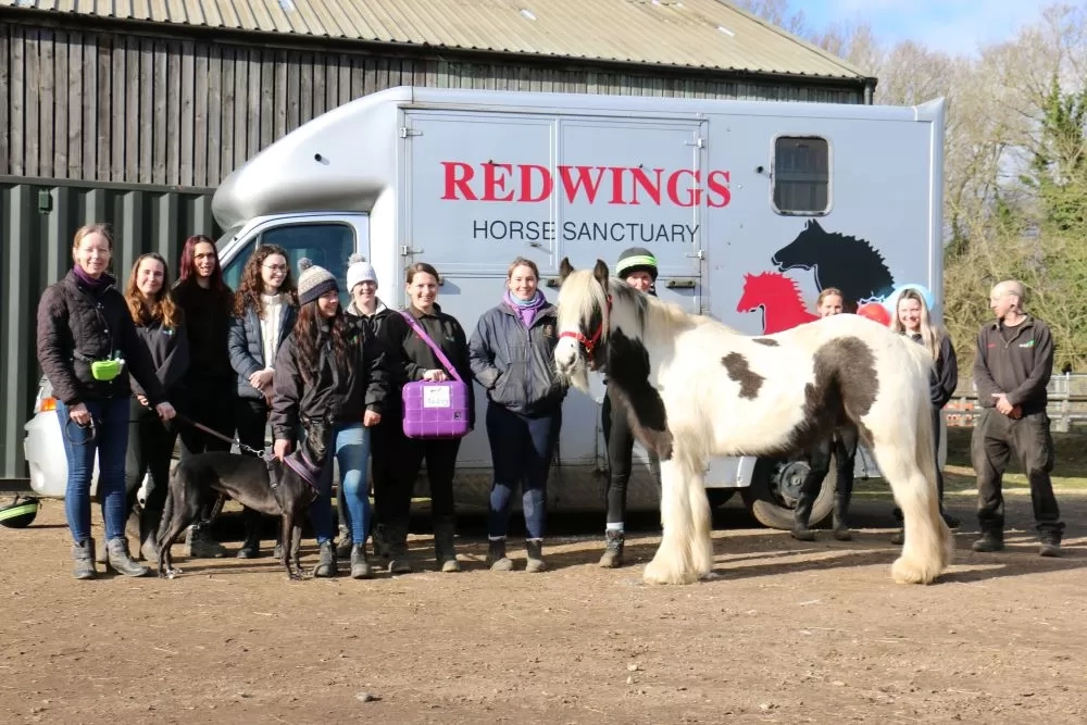 The Redwings team throw a rehoming party for long-term resident Audrey.