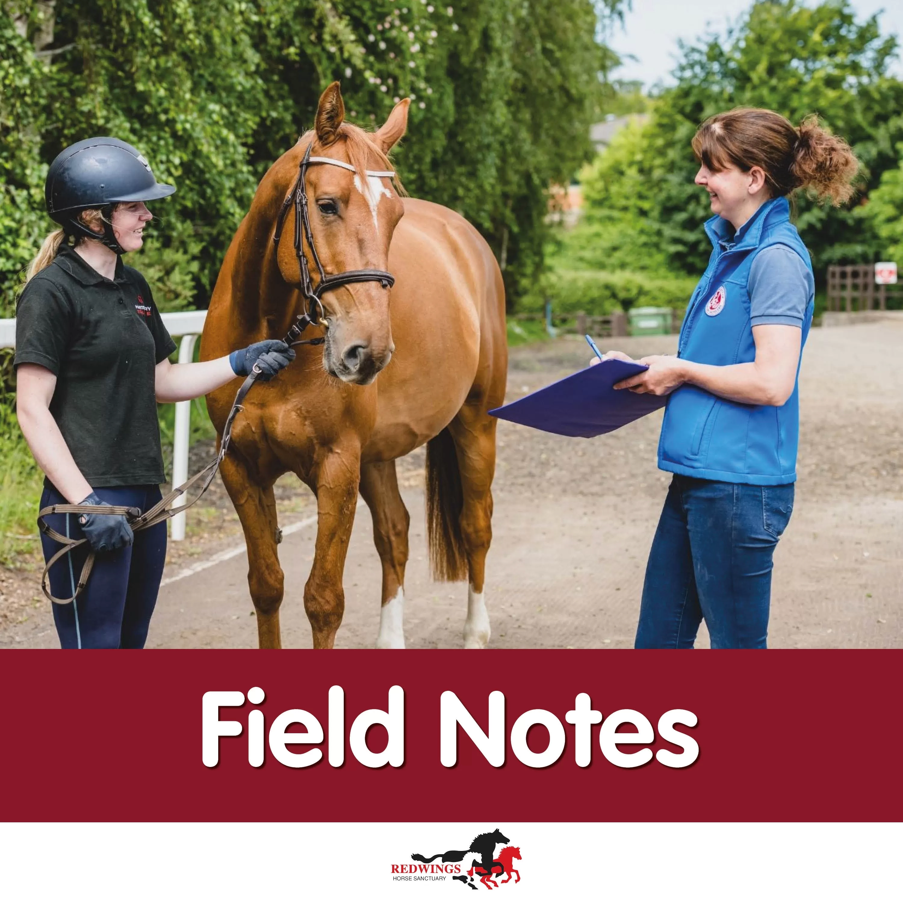 The cover image for our Field Notes podcast