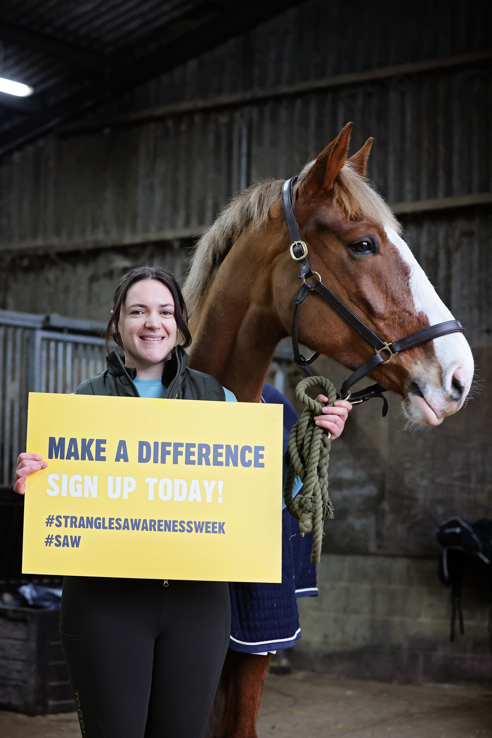 Announcing an official partnership! | Redwings Horse Sanctuary
