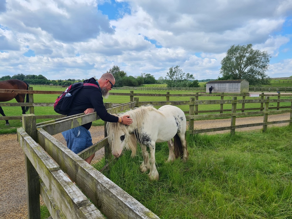 Wellbeing walks at Redwings | Redwings Horse Sanctuary
