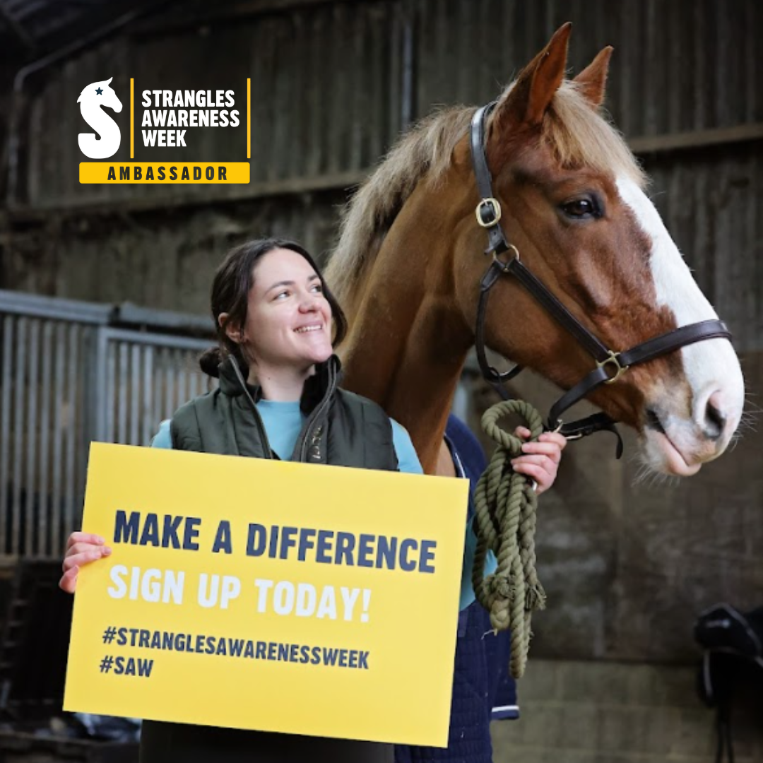 Your horse deserves the BEST! | Redwings Horse Sanctuary