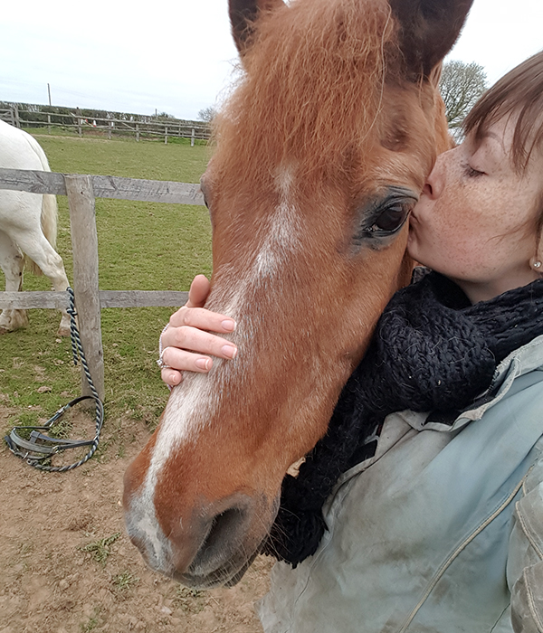Rehome a rescued horse