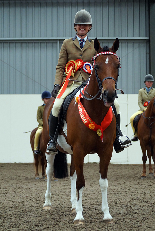 Redwings Show 2016 results