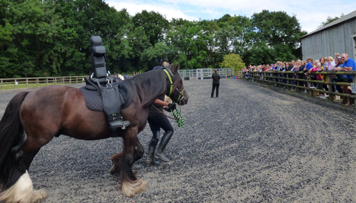 Crowds watching a show at the open day