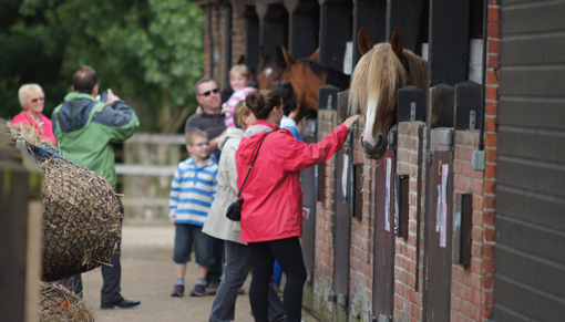 Visitors at the open day 