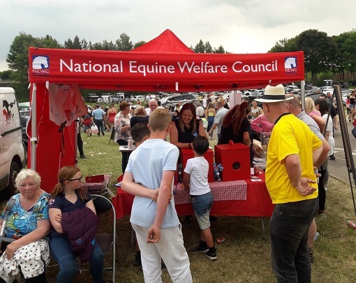 NEWC fair stand
