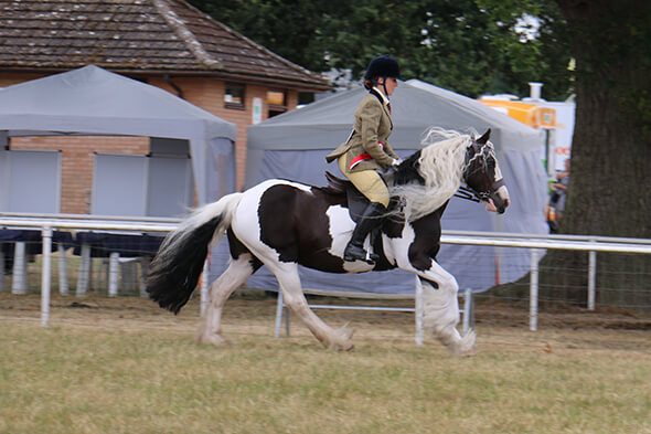 Redwings Patchwork and her Guardian Yvette