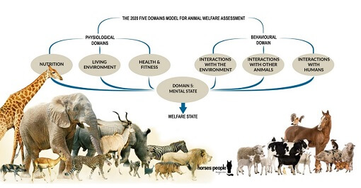 The Five Domains explain that nutrition, physical environment, health, and behavioural interactions