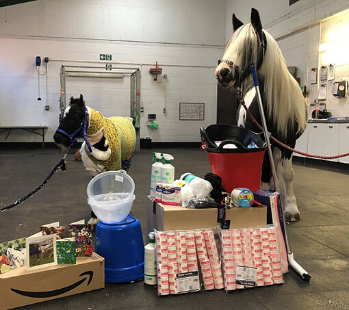 Phoenix and Mildred with their latest Amazon Wishlist arrivals.