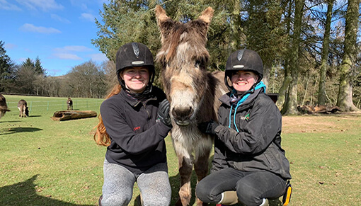 Adoption Star Minnie at Redwings Mountains is looking forward to seeing everyone!