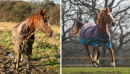 Zac photographed when he was discovered in January, and pictured today!