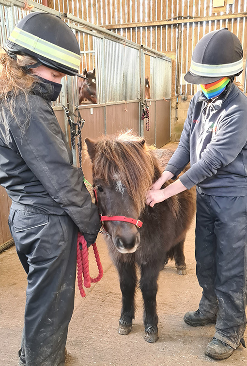 Pony called Grasshopper having an injection