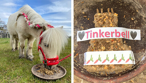Tinkerbell enjoyed tucking into her birthday cake, designed by one of her supporters!