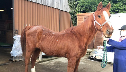 Zac pictured upon his arrival at the Sanctuary.