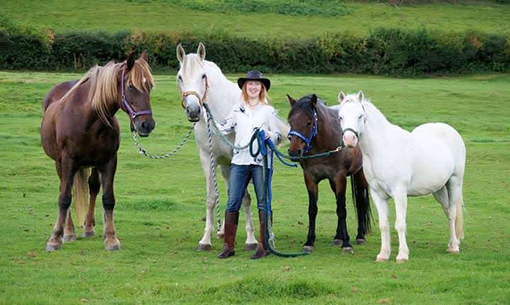 Paddy with Samantha and her other horses