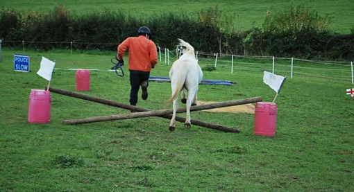 Paddy and Samantha's husband jumping their way to victory at in-hand agility