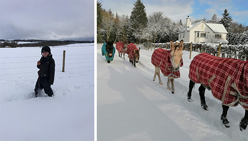 Snow up to the knees and keeping warm on a walk