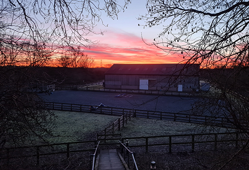 Dawn at the rehoming centre at our Norfolk headquarters