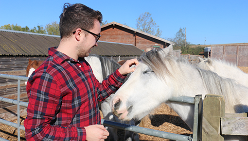 Adoption Star birthday tickle