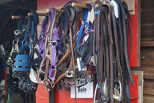 Horse tack for sale