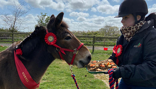 Retired Adoption Star Muffin was treated to a special cake for his birthday.
