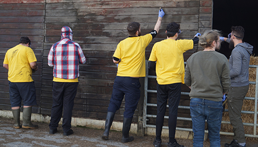 volunteers from Aviva painting shelter