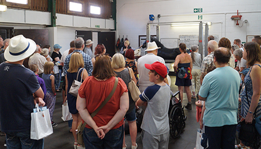 Visitors enjoy a fascinating vet talk in the Horse Hospital.