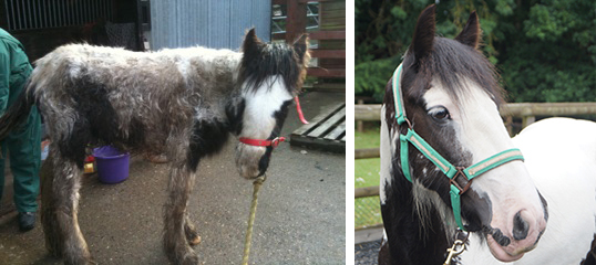 Oakley pictured when he arrived at Redwings in 2011, and now!