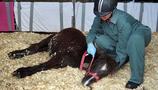 Arthur receiving care