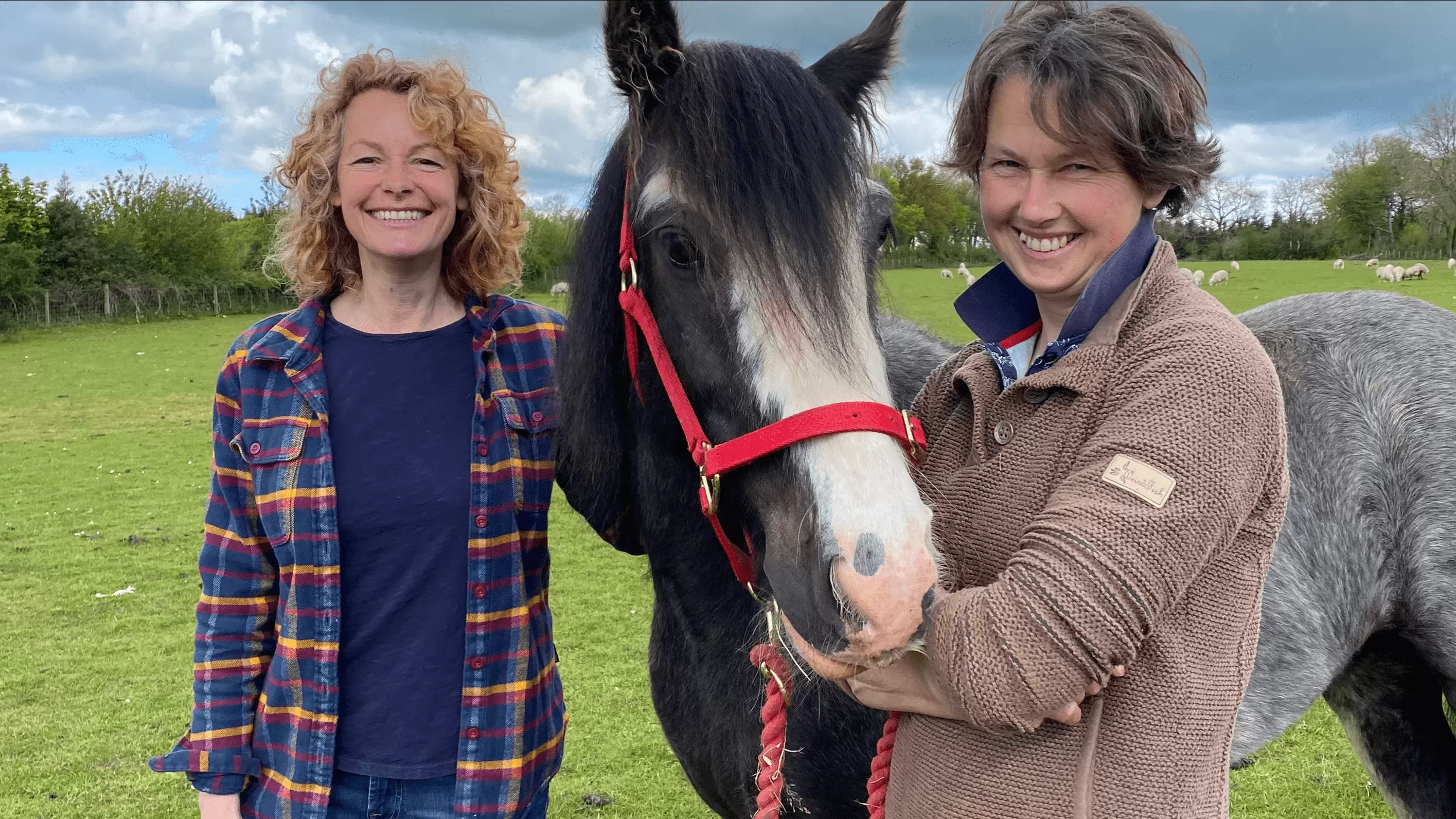 Kate Humble - Redwings guardian