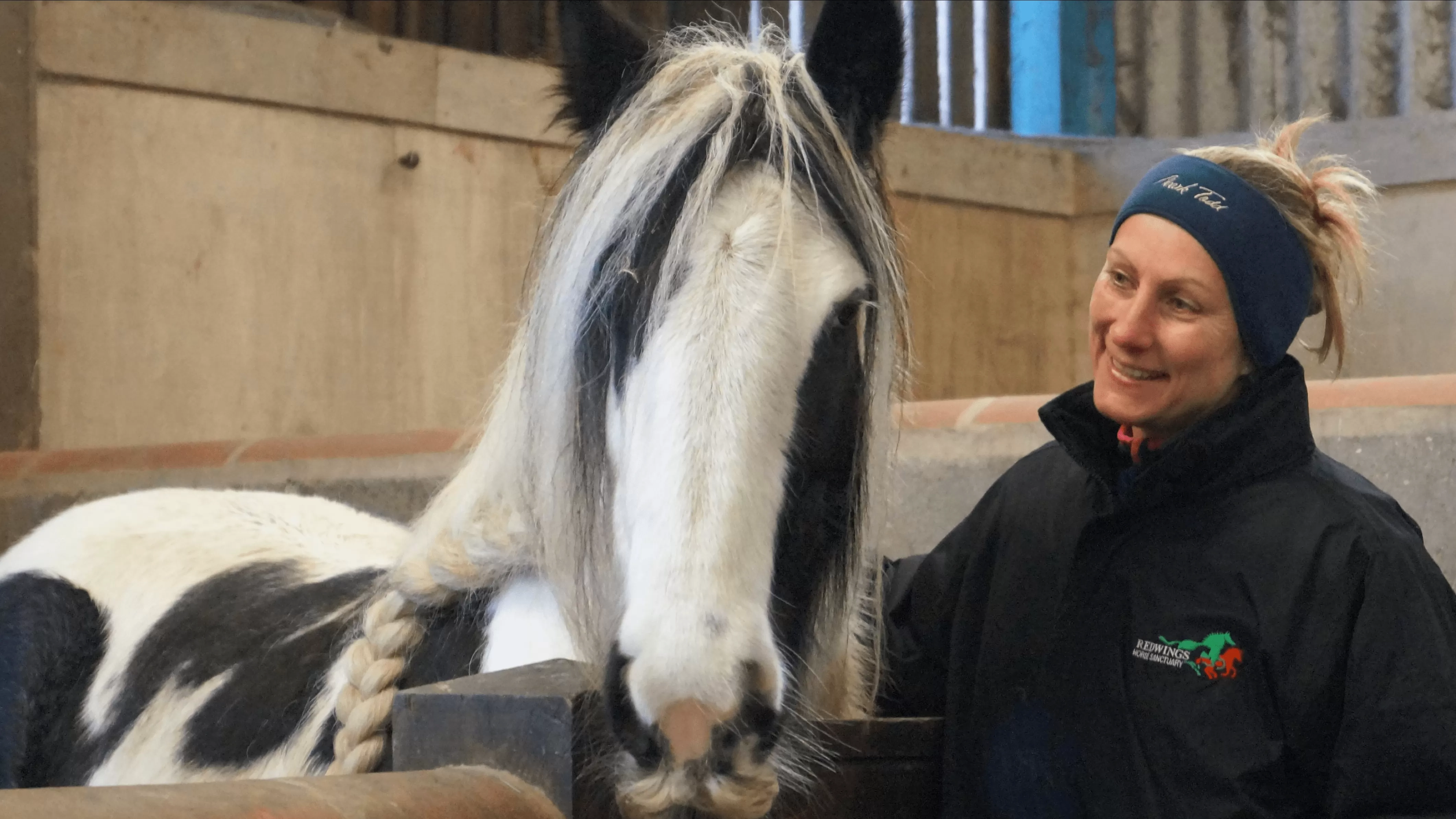 Horse with staff member