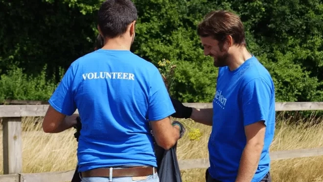 Two guys volunteering