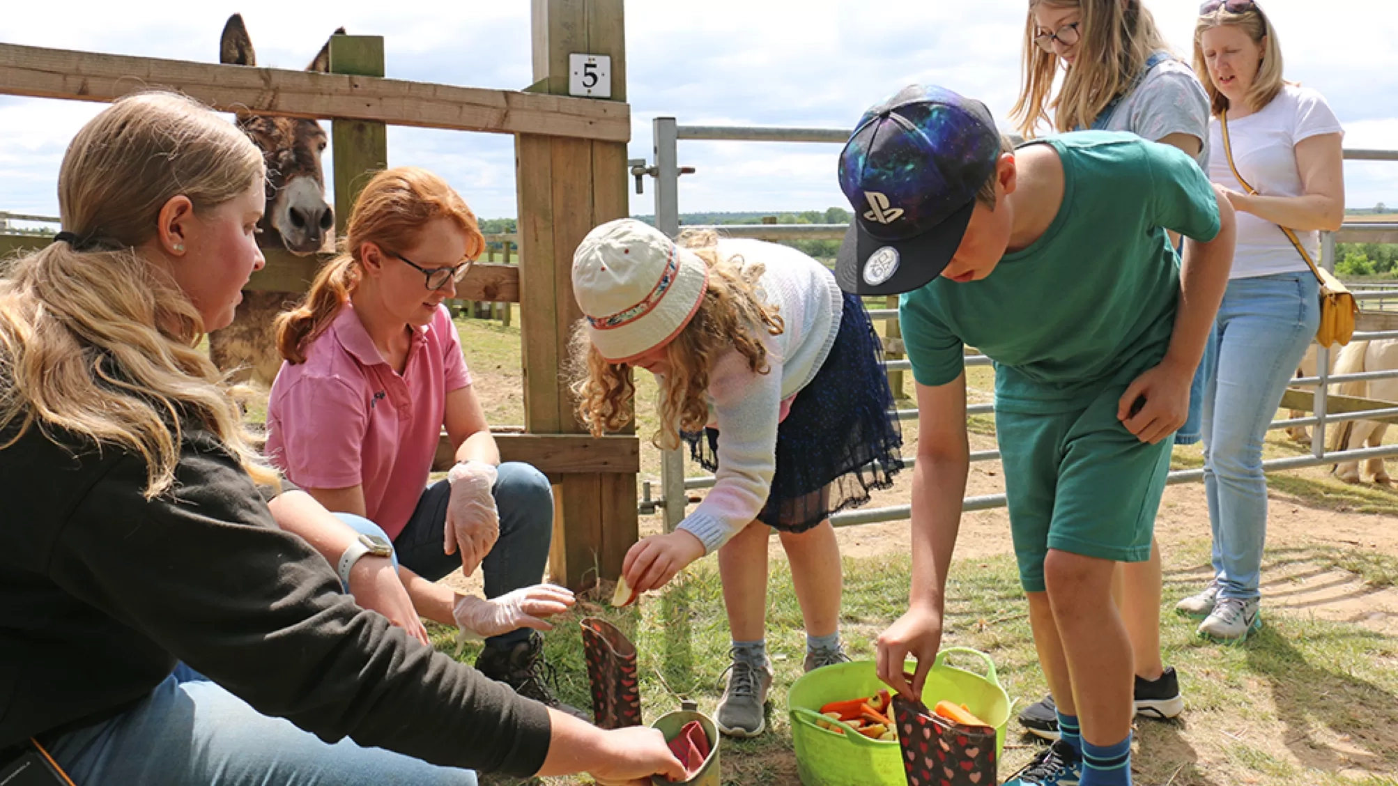 Kids placing food for donkeys in wellies