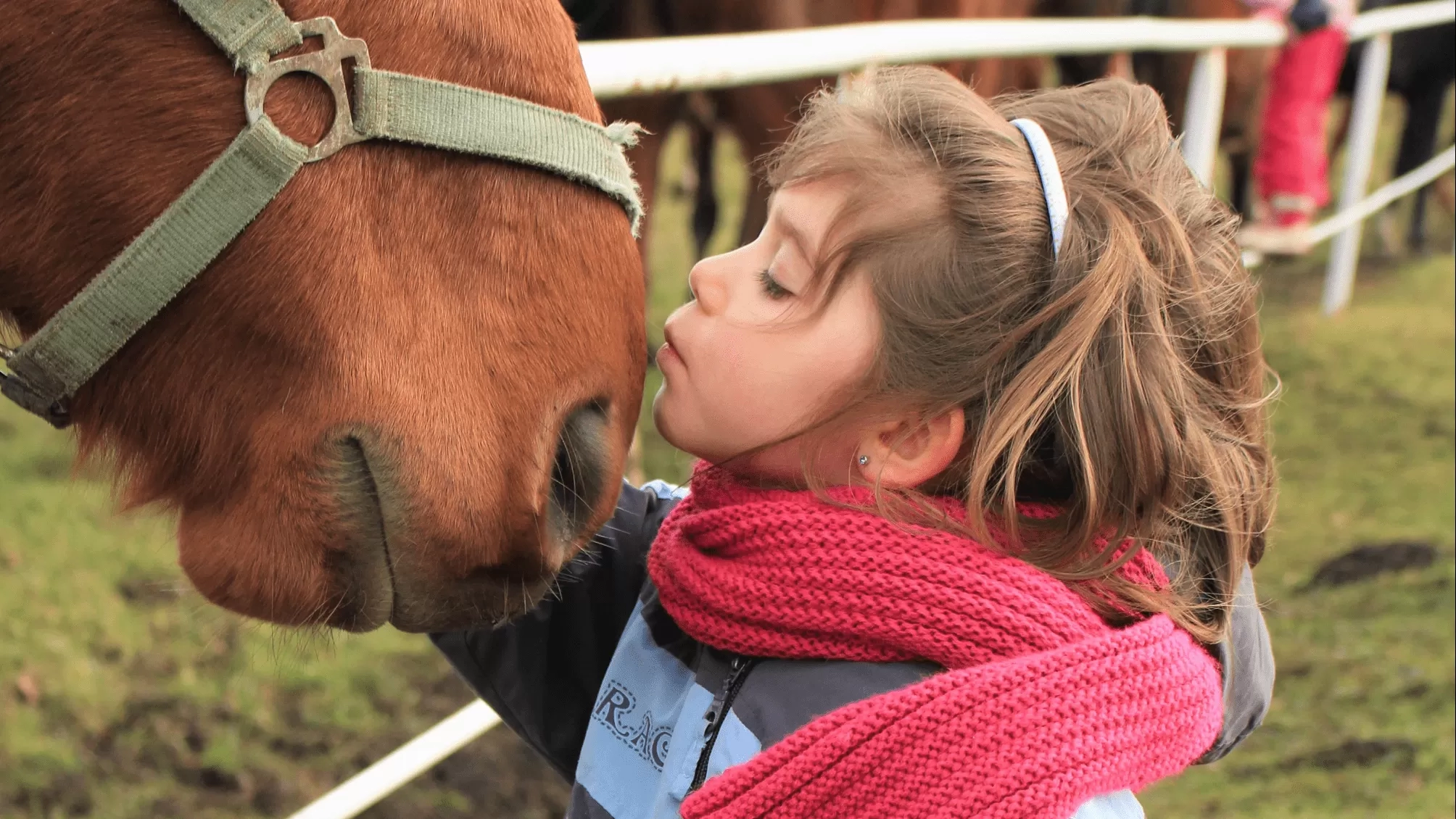 Young kid kissing horse