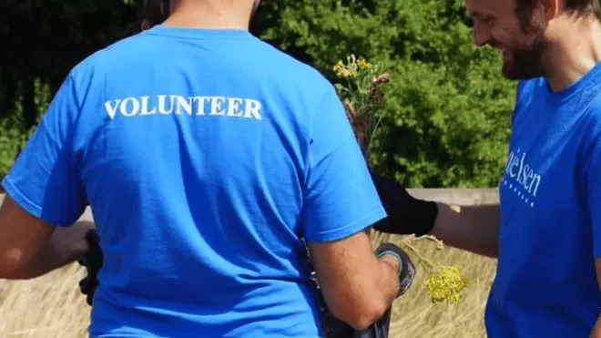 Two guys volunteering