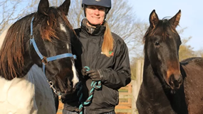 Two horses with carer