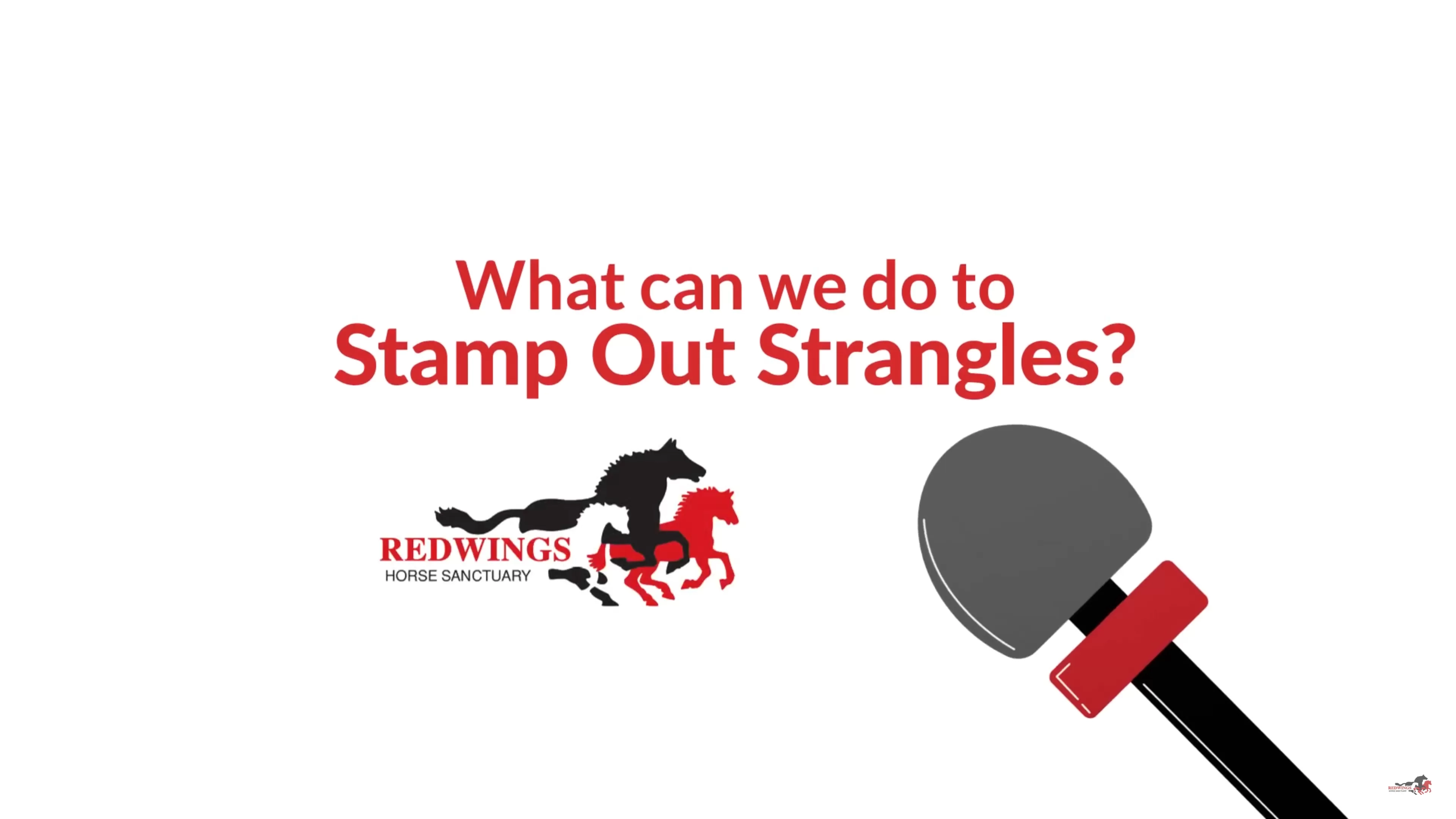 Stamp out strangles anim