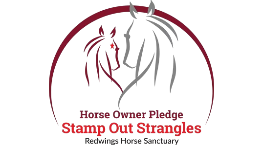 horse owner make pledge