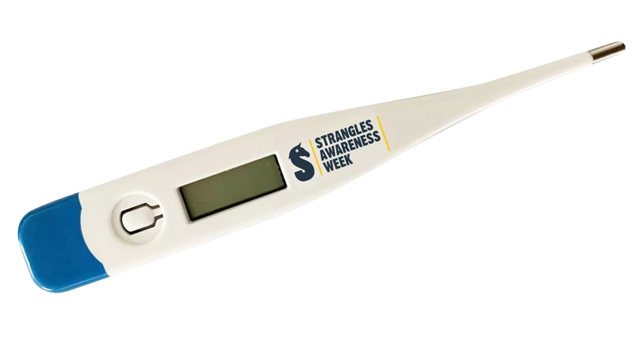 SAW thermometer
