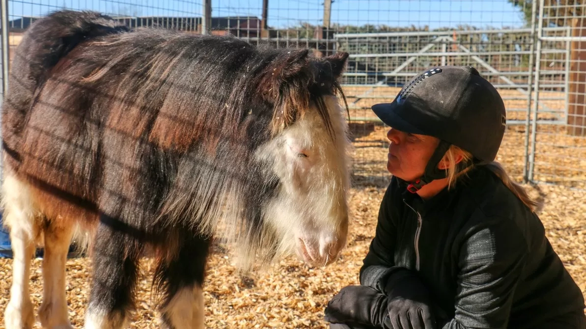Barney being cared for by Redwings Quarantine Centre team member 