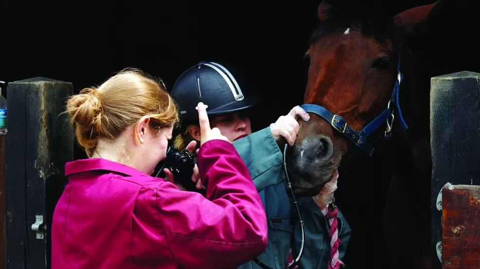 1991 - Redwings begins screening all new horses for strangles