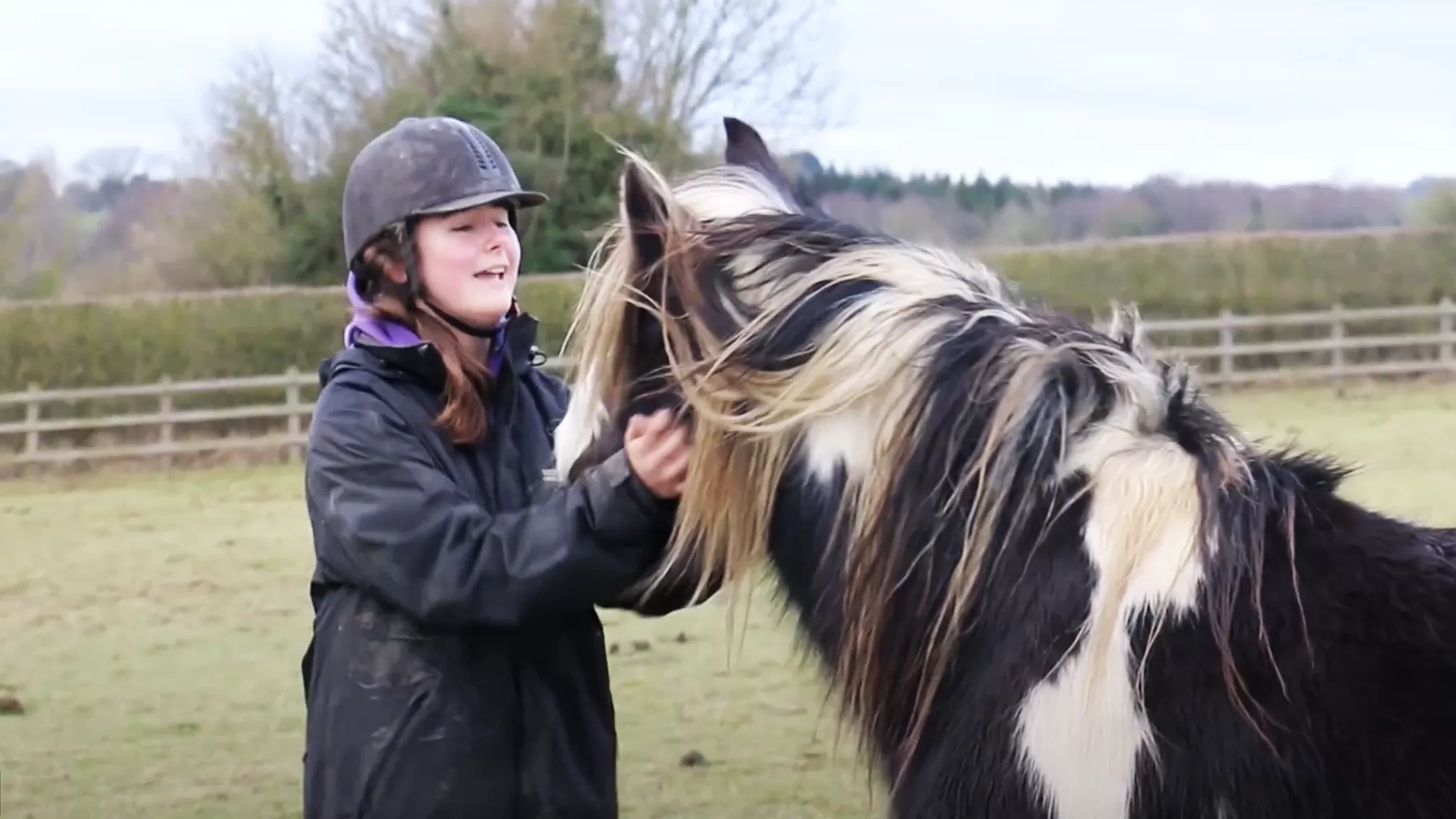 Horse and carer