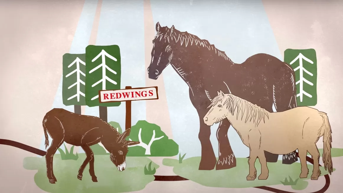 How adoption works video still