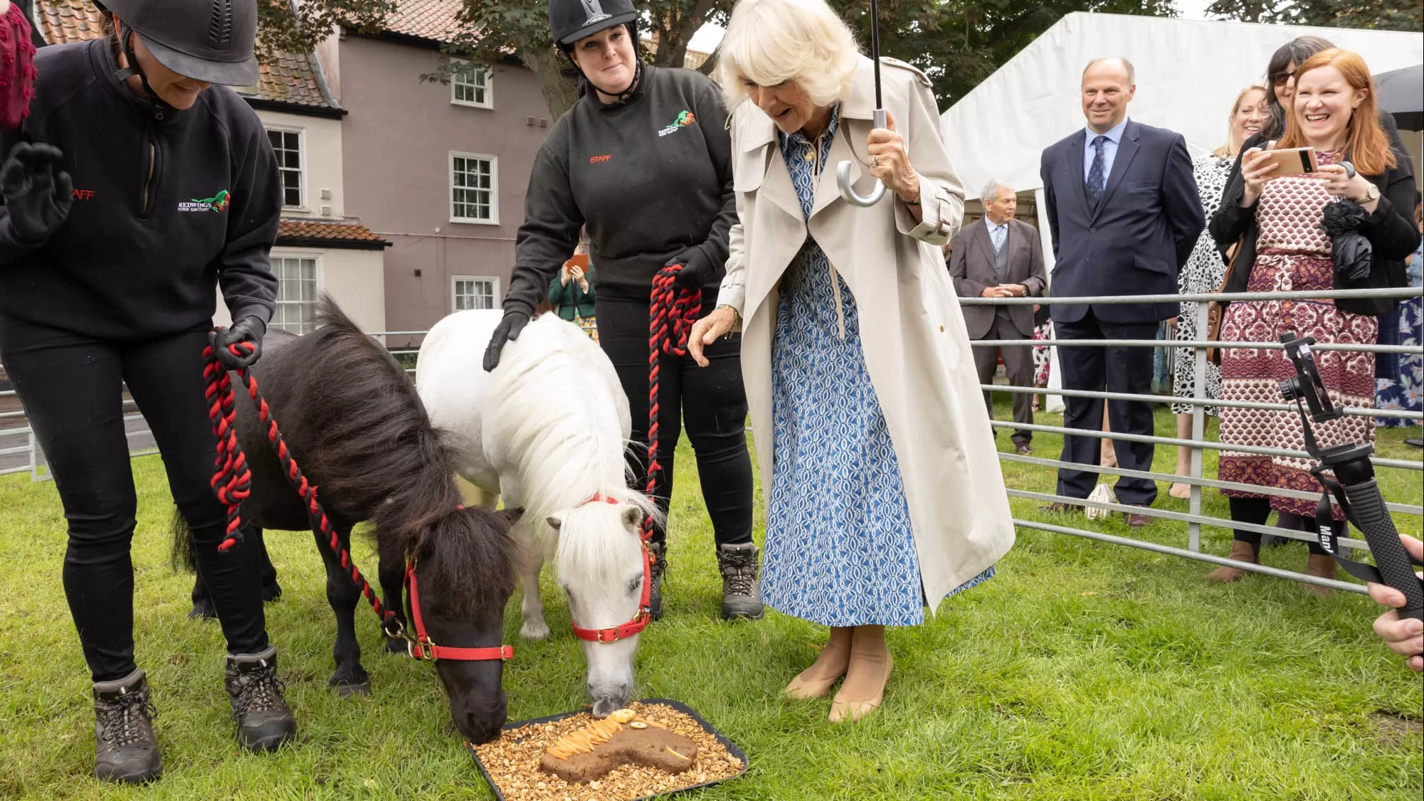 Queen Camilla presents rescued ponies Moses and Dhansak with a cake