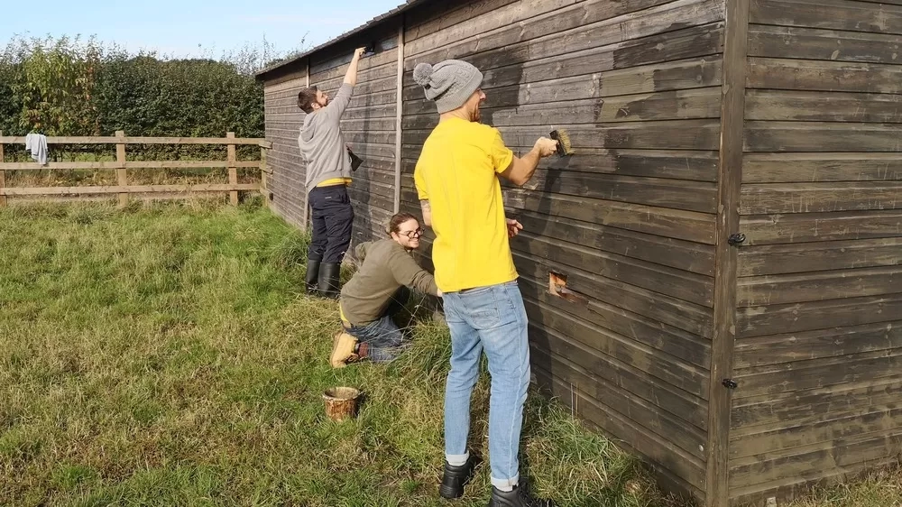 Volunteers helping paint a shelter at Oxhill