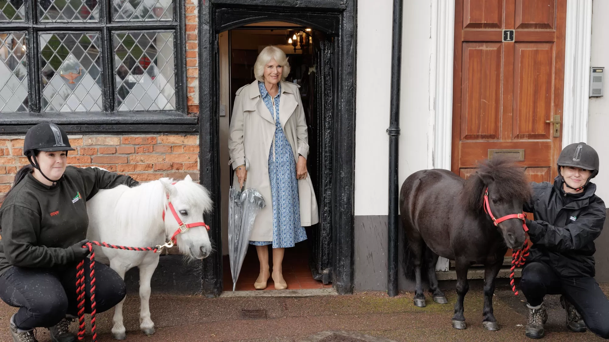 Queen Camilla visits Anna Sewell House and meets ponies Dhansak and Moses.