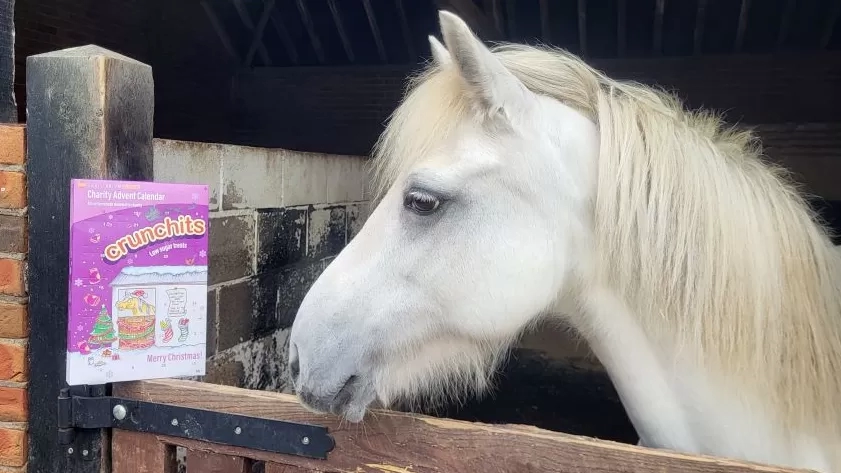 Pony Prue with a Crunchits advent calendar.