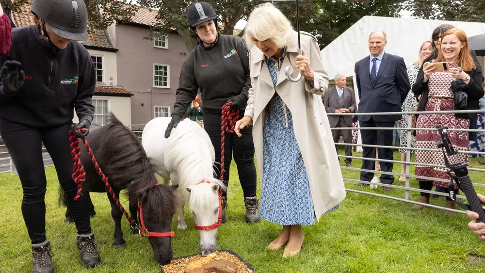 HM Queen Camilla meets two Redwings ponies