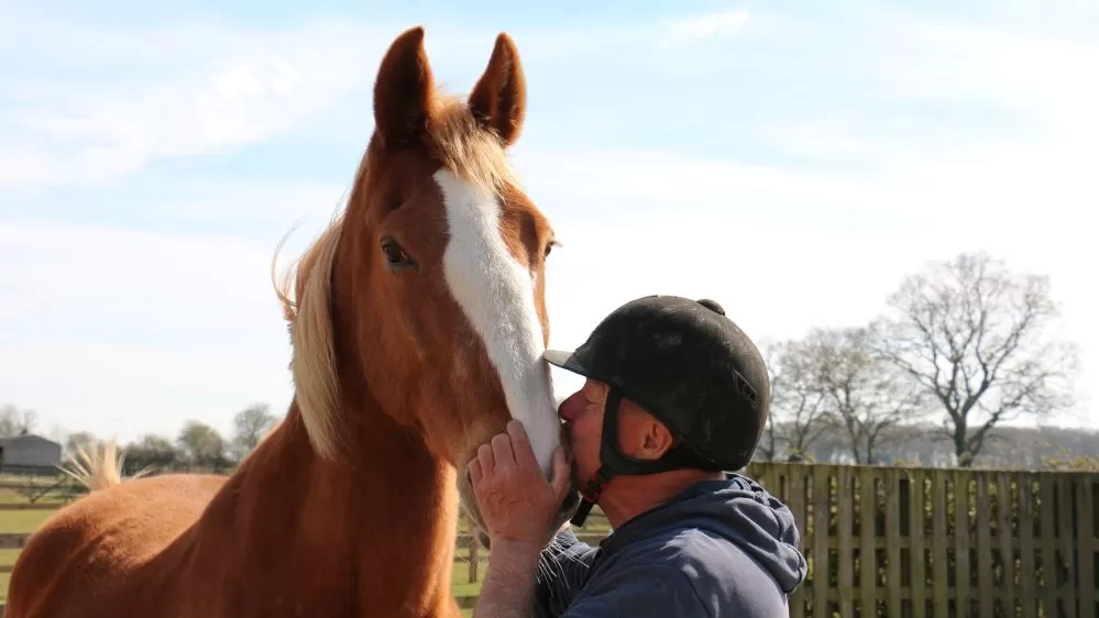 A Redwings equine carer kisses a chestnut Gelderlander horse on the nose.